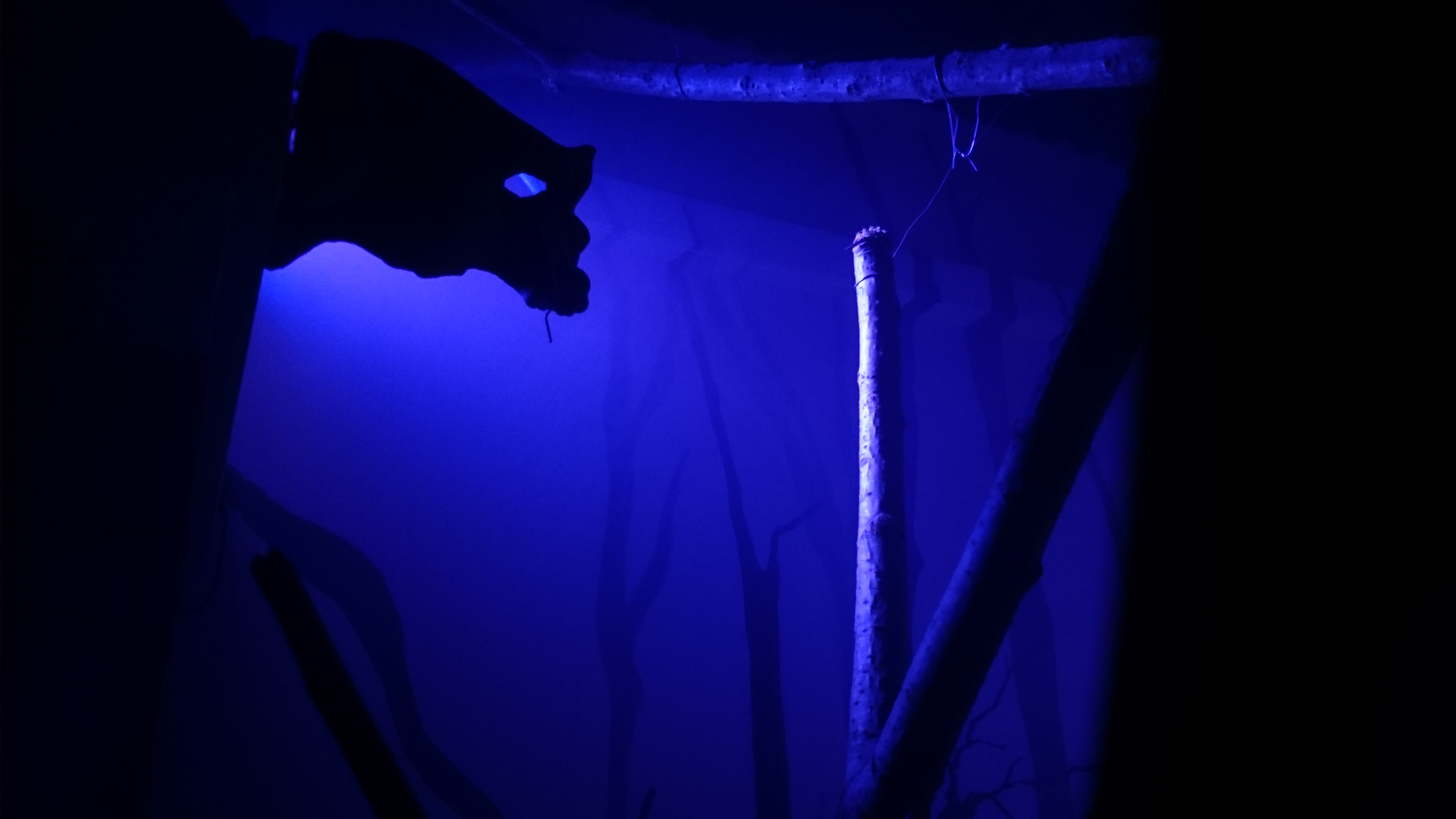 Dettaglio scenografia Cripta Clues Hunt Milano: gargoyle e rami su colonna in pietra, escape room scenografica adatta per famiglie e bambini