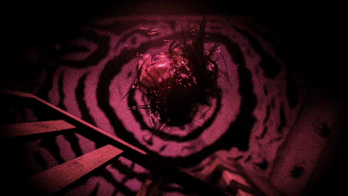Foto Escape Room Horror Milano The Ring
